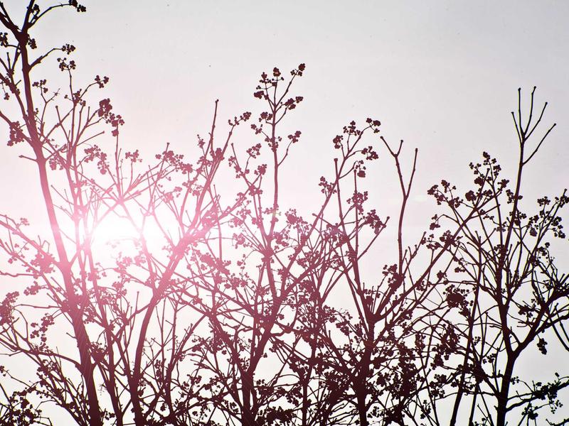 sudoku time killer screenshot 3