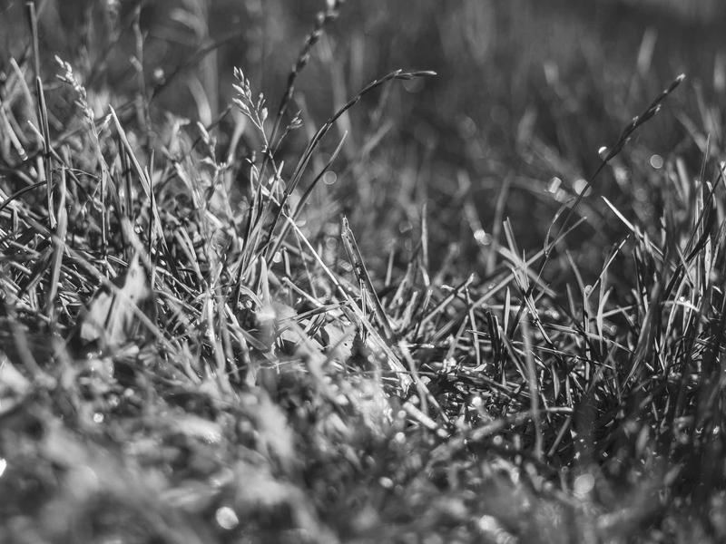 sudoku pattern learning screenshot 4